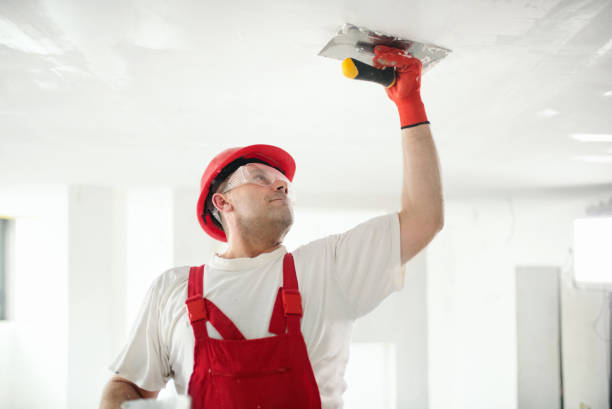 Best Ceiling Drywall Installation  in Algoma, WI